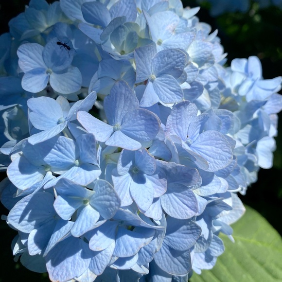 Meet your Posher, Liv - Picture 10 of 12